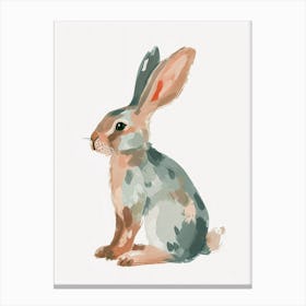 Argente Rabbit Kids Illustration 1 Canvas Print