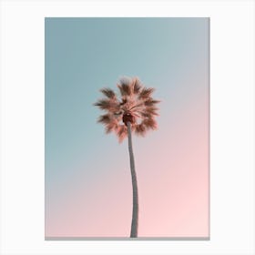Simple Palm Tree Photography Canvas Print