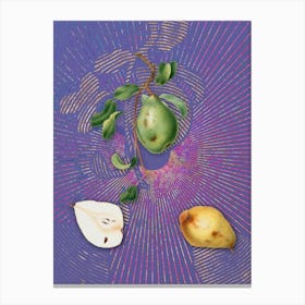 Vintage Pear Botanical Illustration on Veri Peri n.0373 Canvas Print