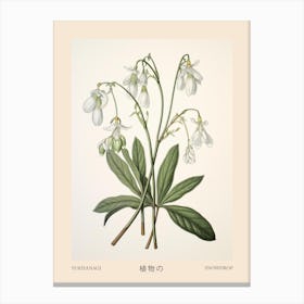 Yukiyanagi Snowdrop 3 Vintage Japanese Botanical Poster Canvas Print