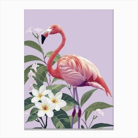 American Flamingo And Plumeria Minimalist Illustration 4 Canvas Print
