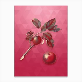 Vintage Apple Botanical in Gold on Viva Magenta n.0428 Canvas Print