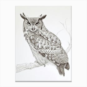 African Wood Owl Drawing 1 Canvas Print