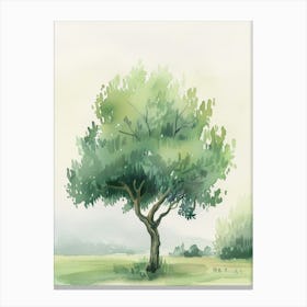 Olive Tree Atmospheric Watercolour Painting 1 Canvas Print