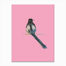 Magpie Pink Canvas Print