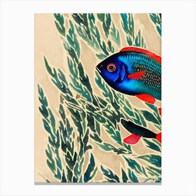 Dottyback Vintage Graphic Watercolour Canvas Print