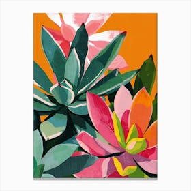 Succulents Plant Minimalist Illustration 7 Canvas Print