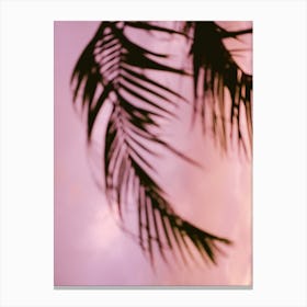 Costa Rica Pink And Purple Palm Canvas Print