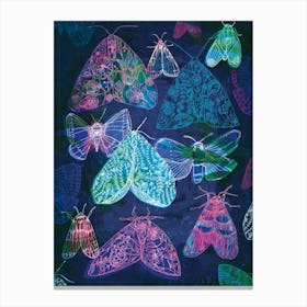 Floral Night Moths Canvas Print
