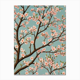 Pink Cherry Blossoms Canvas Print