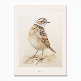 Vintage Bird Drawing Lark 2 Poster Canvas Print