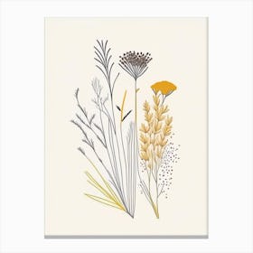 Cumin Spices And Herbs Minimal Line Drawing 1 Canvas Print