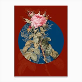 Vintage Botanical Lelieur's Four Seasons Rose on Circle Blue on Red n.0194 Canvas Print