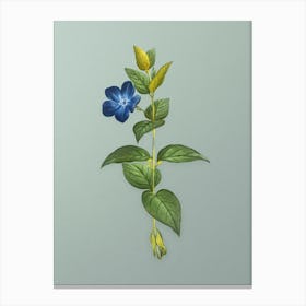 Vintage Greater Periwinkle Flower Botanical Art on Mint Green n.0476 Canvas Print