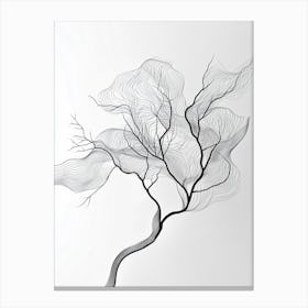 Tree Of Life 3 Canvas Print