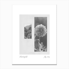 Marigold Botanical Collage 3 Canvas Print