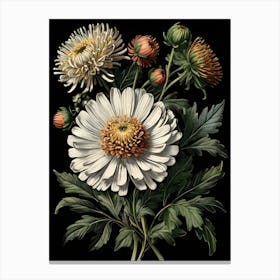 Asters Canvas Print