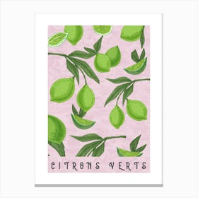 Limes kitchen print Canvas Print