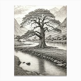 highly detailed pencil sketch of oak tree next to stream, mountain background 5 Canvas Print