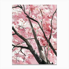 Cherry Blossoms 4 Canvas Print