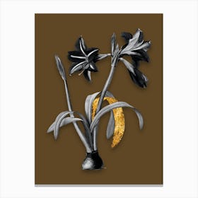 Vintage Brazilian Amaryllis Black and White Gold Leaf Floral Art on Coffee Brown n.1028 Canvas Print