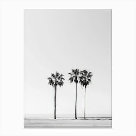 Three Palm Trees On The Beach Canvas Print