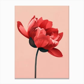 Red Poppy 2 Canvas Print