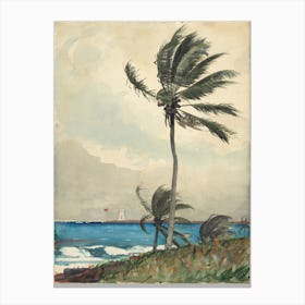 Nassau, Winslow Homer Canvas Print