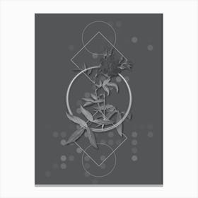 Vintage White Rose of York Botanical with Line Motif and Dot Pattern in Ghost Gray n.0312 Canvas Print
