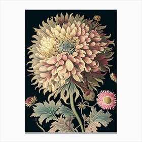 Chrysanthemum 3 Floral Botanical Vintage Poster Flower Canvas Print