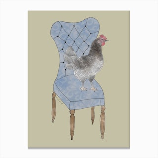 Miss Hen Chicken On A Chair Canvas Print