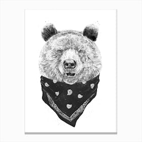 Wild Bear Canvas Print