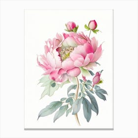 Peony Floral Quentin Blake Inspired Illustration 1 Flower Canvas Print