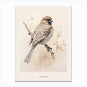 Vintage Bird Drawing Cowbird 2 Poster Canvas Print