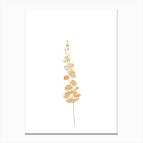 Wild flower 1 Canvas Print