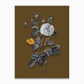 Vintage Pink Agatha Rose Black and White Gold Leaf Floral Art on Coffee Brown n.1084 Canvas Print