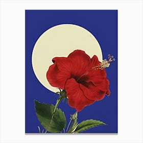 Hibiscus Flower 3 Canvas Print