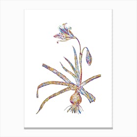 Stained Glass Amaryllis Broussonetii Mosaic Botanical Illustration on White n.0086 Canvas Print