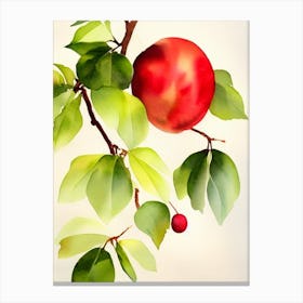 Rambutan Italian Watercolour fruit Canvas Print