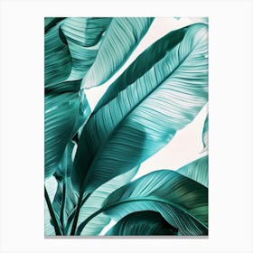 Tropical Leaves 87 Canvas Print