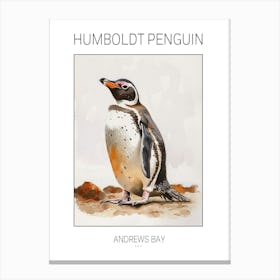 Humboldt Penguin Andrews Bay Watercolour Painting 3 Poster Canvas Print