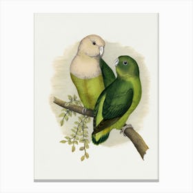 Parrots 1 Canvas Print