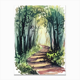 Watercolor Path In The Woods 3 Canvas Print