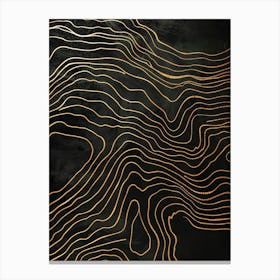 Gold Lines On Black Canvas Canvas Print