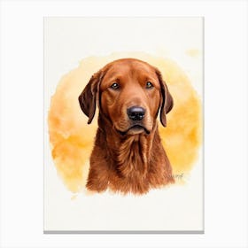 Chesapeake Bay Retriever Illustration dog Canvas Print