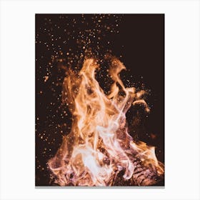 Fire In The Dark Canvas Print