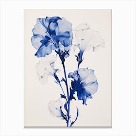 Blue Botanical Gladiolus Canvas Print