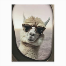 Funny Lama 1 Canvas Print