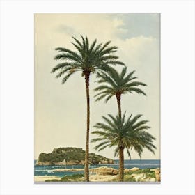 Cala Pregonda Menorca Spain Vintage Canvas Print