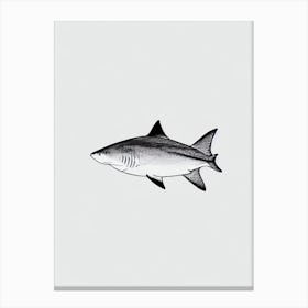 Bull Shark Black & White Drawing Canvas Print
